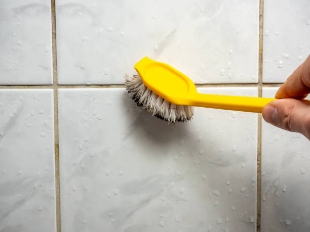 Best Local Mold Removal Service  in Sugar Grove, IL