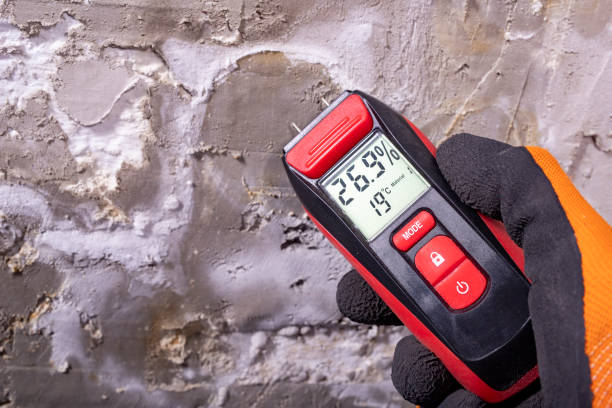 Sugar Grove, IL Mold Removal Company